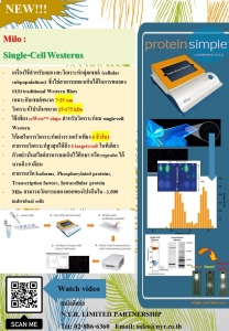 #Single Cell Western Blot #Milo #ProteinSimple #NYR